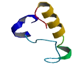 Mitochondrial Ribosomal Protein S18C (MRPS18C)