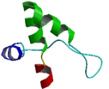 Mitochondrial Ribosomal Protein S23 (MRPS23)