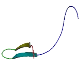 Mitochondrial Ribosomal Protein S28 (MRPS28)