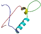 Mitochondrial Ribosomal Protein S33 (MRPS33)