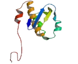 Mitochondrial Ribosomal Protein S9 (MRPS9)