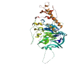 Mitochondrial Translation Optimization 1 Homolog (MTO1)