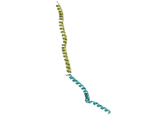 Mitochondrial Tumor Suppressor 1 (MTUS1)