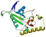 Mitogen Activated Protein Kinase 10 (MAPK10)