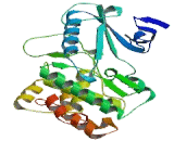 Mitogen Activated Protein Kinase 6 (MAPK6)