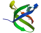 Mitogen Activated Protein Kinase 8 Interacting Protein 2 (MAPK8IP2)