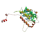 MAP Kinase Activated Protein Kinase 2 (MAPKAPK2)