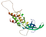 Mitogen Activated Protein Kinase Activated Protein Kinase 5 (MAPKAPK5)