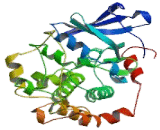 Mitogen Activated Protein Kinase Kinase 2 (MAP2K2)