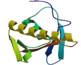 Mitogen Activated Protein Kinase Kinase 5 (MAP2K5)