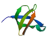 Mitogen Activated Protein Kinase Kinase Kinase 11 (MAP3K11)