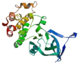 Mitogen Activated Protein Kinase Kinase Kinase 15 (MAP3K15)