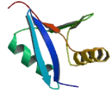 Mitogen Activated Protein Kinase Kinase Kinase 3 (MAP3K3)