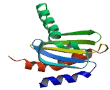 Mitogen Activated Protein Kinase Scaffold Protein 1 (MAPKSP1)