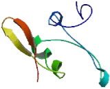 Mitotic Spindle Organizing Protein 1 (MZT1)