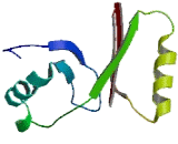 Mitotic Spindle Organizing Protein 2A (MZT2A)