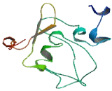 Mitotic Spindle Organizing Protein 2B (MZT2B)