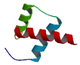 Mix1 Homeobox Like Protein 1 (MIXL1)