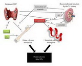 Hypercalcemia (HC)