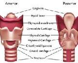 Hypothyroidism