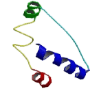 Modulator Of Apoptosis 1 (MOAP1)