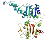 Moloney Leukemia Virus 10 Homolog (MOV10)