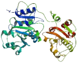 Moloney Leukemia Virus 10 Like Protein 1 (MOV10L1)