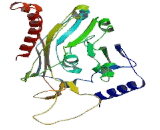 Monoacylglycerol-O-acyltransferase 1 (MOGAT1)