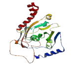 Monoacylglycerol-O-acyltransferase 2 (MOGAT2)