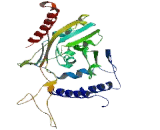 Monoacylglycerol-O-acyltransferase 3 (MOGAT3)