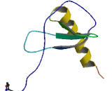 Monocyte Chemotactic Protein 2 (MCP2)