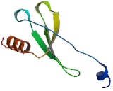 Monocyte Chemotactic Protein 5 (MCP5)