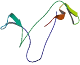 Monooxygenase DBH Like Protein 1 (MOXD1)