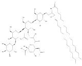 Monosialotetrahexosylganglioside (GM1)