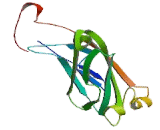 Motile Sperm Domain Containing Protein 1 (MOSPD1)