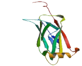 Motile Sperm Domain Containing Protein 2 (MOSPD2)