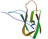 Motile Sperm Domain Containing Protein 3 (MOSPD3)