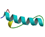 Motilin Receptor (MLNR)