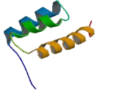 Motor Neuron And Pancreas Homeobox Protein 1 (MNX1)