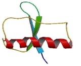 MpV17 Mitochondrial Inner Membrane Like Protein (MPV17L)