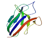 Multiple C2 And Transmembrane Domain Containing Protein 1 (MCTP1)