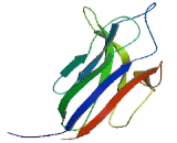 Multiple C2 And Transmembrane Domain Containing Protein 2 (MCTP2)