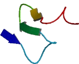 Multiple EGF Like Domains Protein 10 (MEGF10)