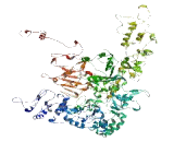 Multiple EGF Like Domains Protein 8 (MEGF8)