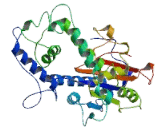 Multiple Inositol Polyphosphate Phosphatase 1 (MINPP1)