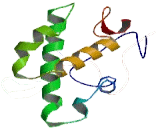 Myb Like, SWIRM And MPN Domains Protein 1 (MYSM1)