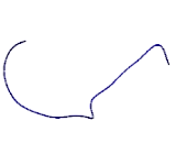 Myb Related Transcription Factor, Partner Of Profilin (MYPOP)