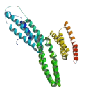 Myb/SANT Like DNA Binding Domain Containing Protein 4 (MSANTD4)