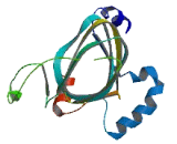 MYC Associated Protein With JMJC Domain (MAPJD)