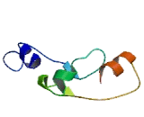 MYC Target Protein 1 (MYCT1)